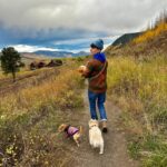Andrea Gibson Calais ME Obituary – Andrea Gibson Death – Andrea Gibson, American Poet and Activist Passed Away
