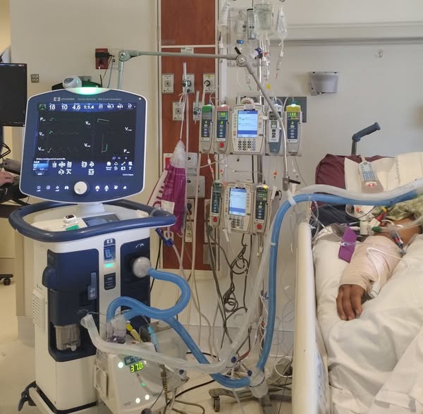 A Life Cut Short: 21-Year-Old Jorge Luis Ariza Escalante Dies After Tragic Fall, As His Mother Awaits His Return Home to Mexico