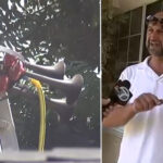 LAPD Arrests Van Nuys Man Accused of Repeatedly Setting Off Horns and Alarms at Home