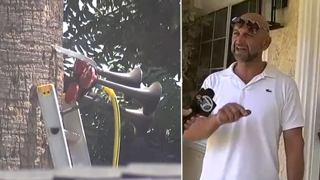 LAPD Arrests Van Nuys Man Accused of Repeatedly Setting Off Horns and Alarms at Home