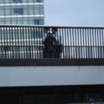 Sydney Harbour Bridge Tragedy: Husband and Wife Die in Suspected Suicide on Saturday Morning