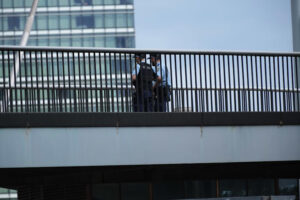 Sydney Harbour Bridge Tragedy: Husband and Wife Die in Suspected Suicide on Saturday Morning