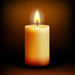 Remembering David Collins: A Legacy of Leadership and Community Impact