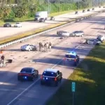 Accident Melbourne FL – Community Shocked by Early Morning Crash Involving Multiple Vehicles