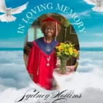Remembering Sydney Hollins – Former PHS Eagle, Class of 2024