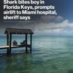 Florida Keys: Shark Bite Injures 8-Year-Old, Child Flown to Miami Hospital