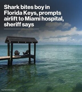 Florida Keys: Shark Bite Injures 8-Year-Old, Child Flown to Miami Hospital