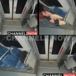 Tragedy on Charlotte’s Lynx Blue Line: Ukrainian Refugee Fatally Stabbed