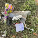 Abigail Campbell Clark County Car Accident – Community Mourns the Loss of 17-Year-Old Greenon Student