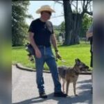 Mark Edward Johns Georgia Motorcycle Accident: What Happened to Mark Edward Johns who Involved in Motorcycle Accident?