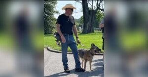 Mark Edward Johns Georgia Motorcycle Accident: What Happened to Mark Edward Johns who Involved in Motorcycle Accident?