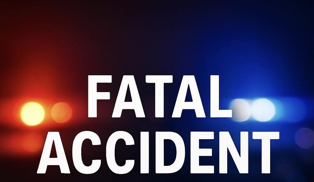 Two Children and Horse Killed, Several Injured in Horse-and-Buggy Crash on Route 225