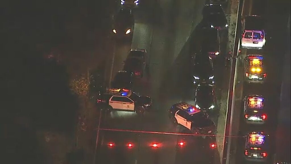 Chase suspect fatally struck by a passing car on 110 Freeway in Mount Washington