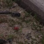 Cape Coral Man Finds Couple Holding Hands After Fatal Burnt Store Road Crash