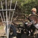 Janice Symiczek Car Accident: 82-Year-Old Woman Killed in Fatal Three-Vehicle Crash on Thursday Morning on Highway 53 North of Holmen