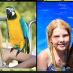 11-Year-Old Sophia Ballinger in Critical Condition After Suicide Attempt