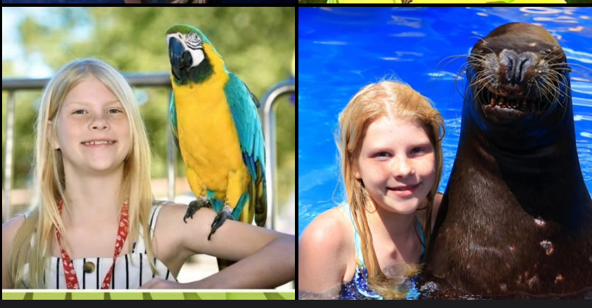 11-Year-Old Sophia Ballinger in Critical Condition After Suicide Attempt
