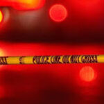 Tragic Crash Near Beatrice Claims Life of 19-Year-Old Joseph Korber