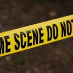 35-Year-Old Shannon Bryant Struck and Killed While Walking in Traffic
