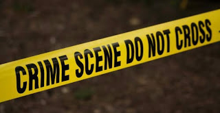 35-Year-Old Shannon Bryant Struck and Killed While Walking in Traffic