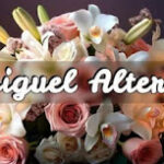 Phoenix Woman Charged in Fatal Early-Morning Hit-and-Run