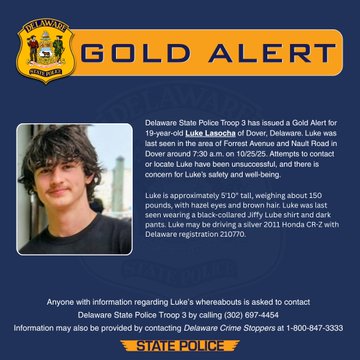 Missing: 19-Year-Old Luke Lasocha Last Seen in Dover on Oct. 25