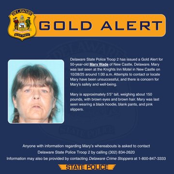 Missing: Mary Wade, 50, Last Seen at Knights Inn in New Castle