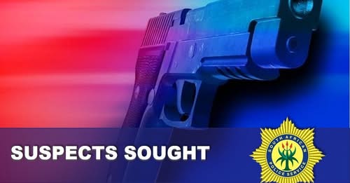 ‘Reiger Park mass shooting suspects are known gangsters out on bail’