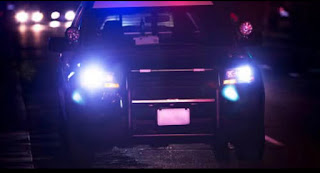 Strongsville Woman Killed in Domestic Shooting on Halloween