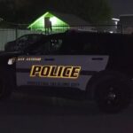 Woman Arrested After Allegedly Shooting Partner Twice During Argument