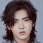 Kris Wu Obituary, Cause of Death: Chinese Pop Star Kris Wu Reportedly Dies in Prison At 34