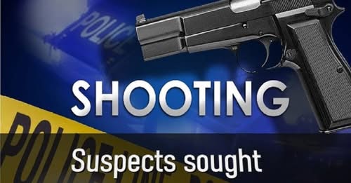 Police Launch Manhunt for Suspects in Deadly Reiger Park Shooting