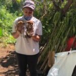 Alexandra Wynter California, Chico Obituary News: 28-year-old Alexandra Wynter, Chico State University student killed in apparent murder-suicide