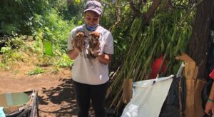 Alexandra Wynter California, Chico Obituary News: 28-year-old Alexandra Wynter, Chico State University student killed in apparent murder-suicide