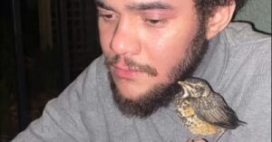 Deshawn Williams Minnesota Obituary, Cause of Death: In Loving Memory of Deshawn Williams who Dies Suddenly