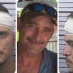 Man Arrested in Fatal Stabbing of Father on Forest Park Drive in Mobile, Police Say