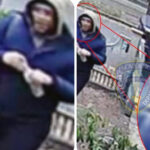 Providence Police Seek Public’s Help in Brown University Shooting Investigation